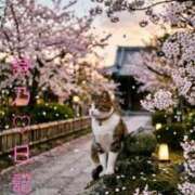 ヒメ日記 2026/03/27 16:16 投稿 詩乃(しの) グランドオペラ東京