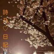 ヒメ日記 2026/03/30 21:36 投稿 詩乃(しの) グランドオペラ東京