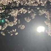 ヒメ日記 2026/04/01 21:19 投稿 詩乃(しの) グランドオペラ東京