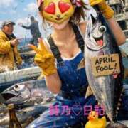 ヒメ日記 2026/04/02 08:55 投稿 詩乃(しの) グランドオペラ東京