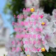 ヒメ日記 2026/06/28 20:56 投稿 詩乃(しの) グランドオペラ東京