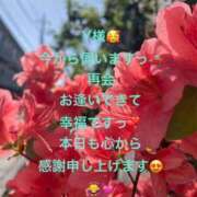 ヒメ日記 2026/09/08 11:56 投稿 詩乃(しの) グランドオペラ東京