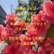 ヒメ日記 2026/10/08 19:46 投稿 詩乃(しの) グランドオペラ東京