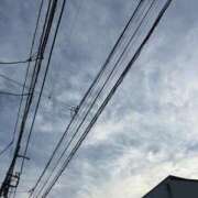 ヒメ日記 2025/09/10 17:04 投稿 みるく 桃李（とうり）