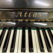 ヒメ日記 2025/10/01 15:35 投稿 みるく 桃李（とうり）