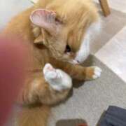 ヒメ日記 2025/10/04 15:44 投稿 みるく 桃李（とうり）