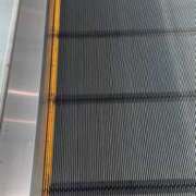 ヒメ日記 2025/10/05 15:40 投稿 みるく 桃李（とうり）