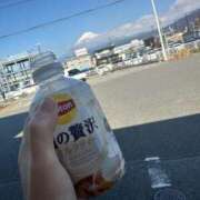 ヒメ日記 2025/10/07 11:34 投稿 みるく 桃李（とうり）