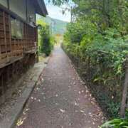 ヒメ日記 2025/10/23 14:54 投稿 みるく 桃李（とうり）