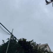 ヒメ日記 2025/10/25 07:24 投稿 みるく 桃李（とうり）