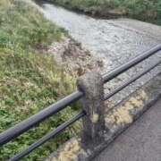 ヒメ日記 2025/10/29 14:44 投稿 みるく 桃李（とうり）