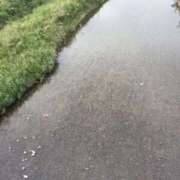 ヒメ日記 2025/10/30 09:14 投稿 みるく 桃李（とうり）