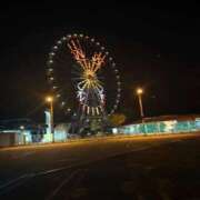 ヒメ日記 2025/11/08 07:15 投稿 みるく 桃李（とうり）