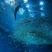 ヒメ日記 2025/10/07 17:12 投稿 奈々-なな【FG系列】 ほんとうの人妻　松戸店