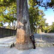 ヒメ日記 2025/11/30 12:38 投稿 ゆん ハイ・チュッ