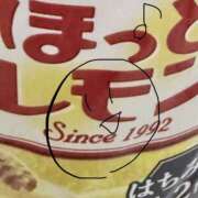 ヒメ日記 2026/01/08 12:26 投稿 やまだ 上野ハンドメイド