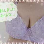 ヒメ日記 2026/05/06 09:49 投稿 みはな 熟女家 ミナミエリア店