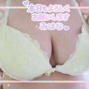 ヒメ日記 2026/08/08 09:31 投稿 みはな 熟女家 ミナミエリア店