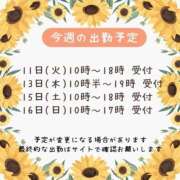 ヒメ日記 2026/08/10 18:25 投稿 みはな 熟女家 ミナミエリア店
