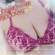 ヒメ日記 2026/10/11 09:45 投稿 みはな 熟女家 ミナミエリア店
