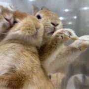 ヒメ日記 2025/09/06 21:50 投稿 れみ 風俗の神様　浜松店