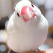 ヒメ日記 2025/09/14 22:50 投稿 れみ 風俗の神様　浜松店