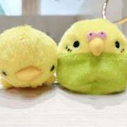 ヒメ日記 2025/09/16 13:20 投稿 れみ 風俗の神様　浜松店