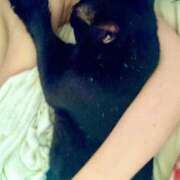 ヒメ日記 2025/09/24 23:25 投稿 あお ドMな団地妻 名古屋・池下店