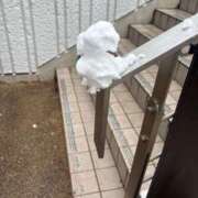 ヒメ日記 2026/02/15 22:46 投稿 ノノ エピソード(品川)