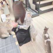 ヒメ日記 2025/11/04 09:26 投稿 かれん アリスカフェ