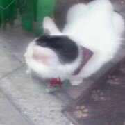 ヒメ日記 2025/09/20 13:40 投稿 うる 福盛