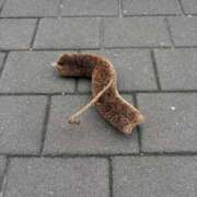 ヒメ日記 2025/08/24 09:00 投稿 あいる 若妻LOVE