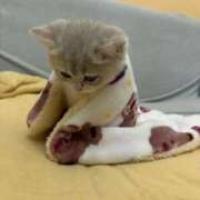 ヒメ日記 2026/01/12 18:46 投稿 じゅり ラブ・アンド・ラブ