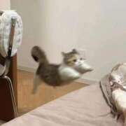 ヒメ日記 2026/02/26 11:51 投稿 じゅり ラブ・アンド・ラブ