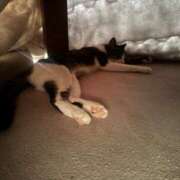 ヒメ日記 2025/12/12 10:46 投稿 藤川 ゆき こあくまな熟女たち豊橋店（KOAKUMAグループ）