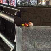 ヒメ日記 2025/10/11 02:19 投稿 あすか　清楚で元気な妹系 今ドキ マットMAX