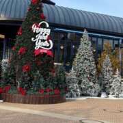 ヒメ日記 2026/01/11 18:30 投稿 あすか　清楚で元気な妹系 今ドキ マットMAX