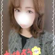 ヒメ日記 2025/09/18 09:02 投稿 なお プラチナ