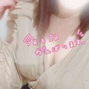 ヒメ日記 2025/10/14 10:04 投稿 なお プラチナ