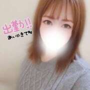 ヒメ日記 2025/10/31 10:02 投稿 なお プラチナ