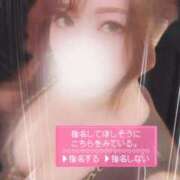 ヒメ日記 2025/12/11 13:02 投稿 なお プラチナ