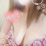 ヒメ日記 2025/12/12 12:42 投稿 なお プラチナ