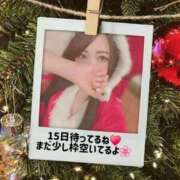 ヒメ日記 2025/12/12 16:04 投稿 なお プラチナ