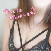 ヒメ日記 2026/01/22 10:12 投稿 なお プラチナ