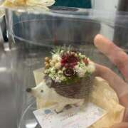 にこり 出会い✨️ 性の極み技の伝道師ver.2.0