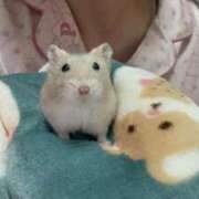 にこり あと少し 性の極み技の伝道師ver.2.0