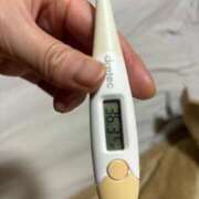 ヒメ日記 2026/04/23 12:47 投稿 シズク(奥方) 奥様幕府