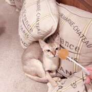 しゅり【梅田堂山女学院】 ฀฀฀฀ 梅田堂山女学院