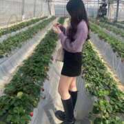 ヒメ日記 2025/08/26 19:13 投稿 さいか 現役学生とHな個別指導 L＆Jブラザーズ