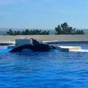 ヒメ日記 2025/09/09 10:03 投稿 逢川 真央 CASA BIANCA（カーサ・ビアンカ）